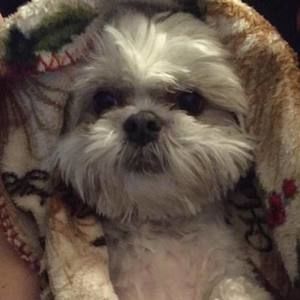 Meet your Posher, Tessa